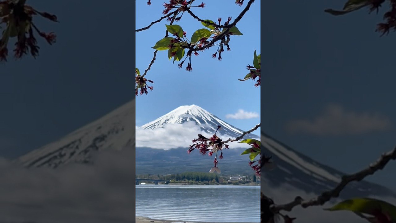 「Avil-Vlog」20240422-29 Chūbu Chihō ちゅうぶちほう- Fujisan ふじさん富士山