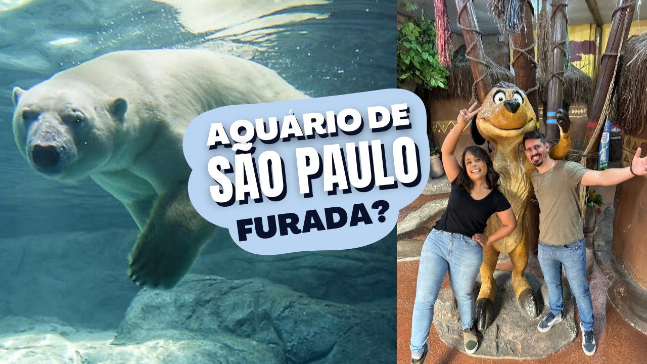AQUARIO DE SÃO PAULO, VALE A PENA, QUANTO GASTA, ATRAÇÕES
