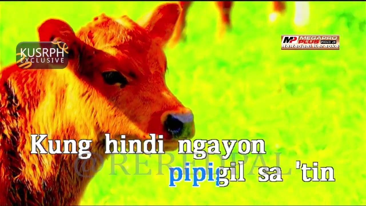 Huling Sandali - December Avenue || Megapro plus midi karaoke 