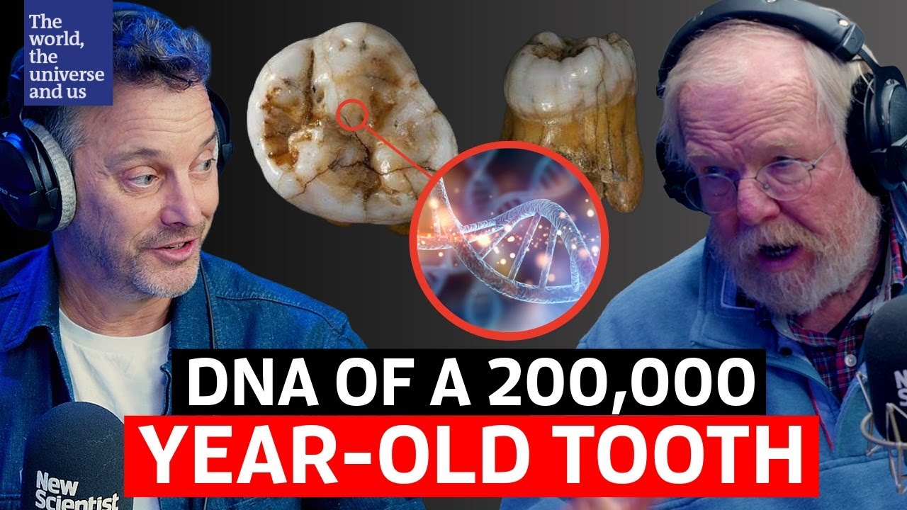 Геном древнего человека, жившего 200 000 лет назад, секвенирован