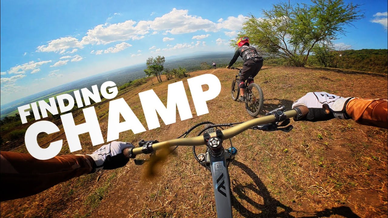 FINDING CHAMP