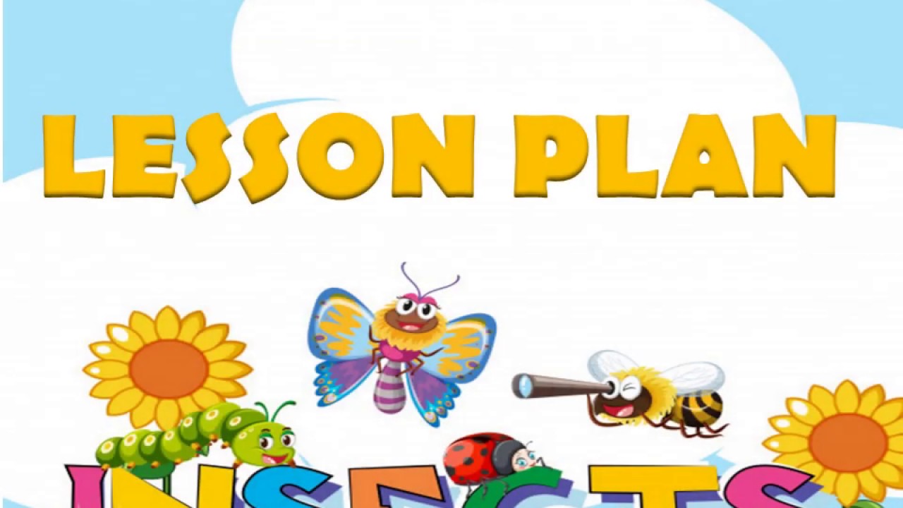 INSECTS/ TEACH YOUR CHILD INSECTS AT HOME/ PRESCHOOL LESSON PLAN