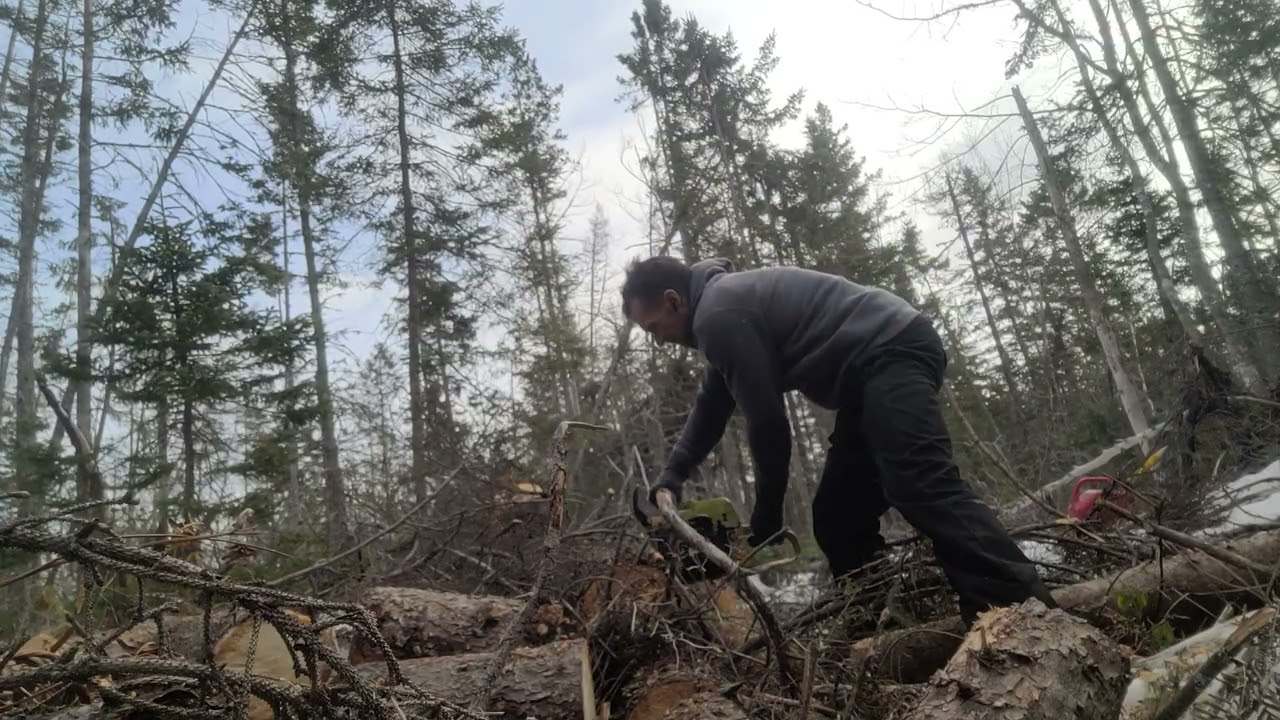 Когда кто-то говорит что-то обидное, пилу расстреливают, и к тому же я обожаю свою пилу Radley.