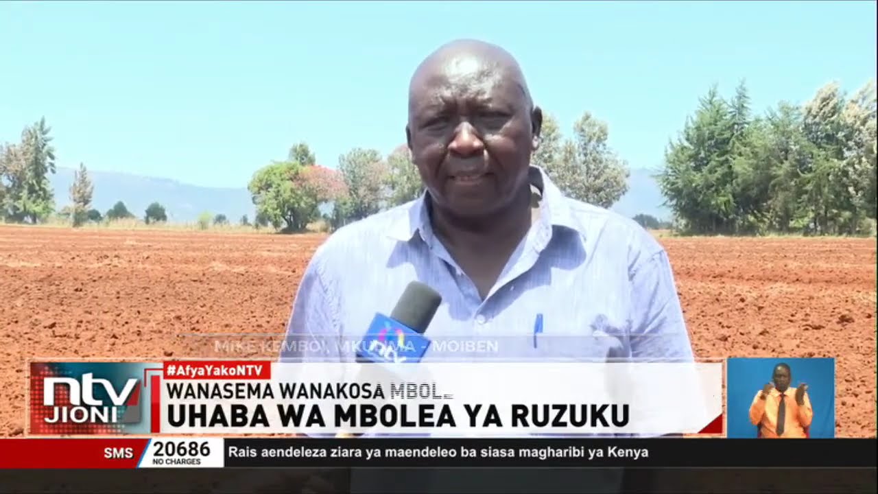 Wakulima Bonde la Ufa katika hofu ya hasara wakichelewa kupanda kwa ukosefu wa mbolea ya ruzuku