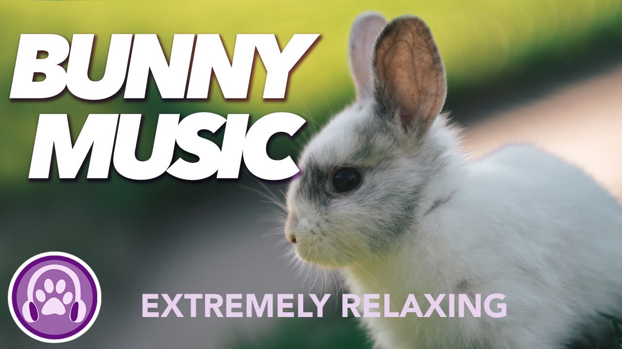 Music for Rabbits - Soothing Bunny Lullaby (EXPERT MADE)