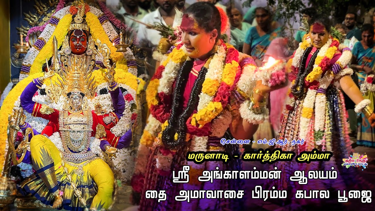 MGR nagar கார்த்திகா அம்மா கோயில் பிரம்ம கபால பூஜை 💥 #mayanakollai2026 #chennai #nammaoorukondattam 