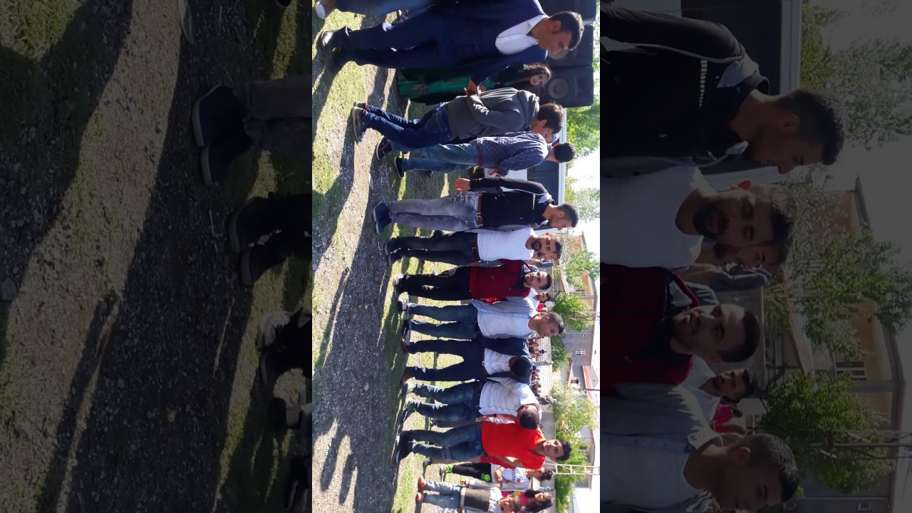 Yalım Erez Düğünleri 29.05.2016 XERZANİ