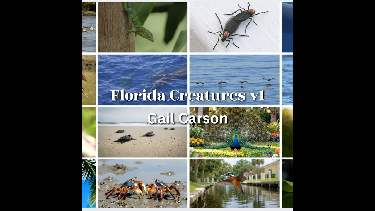 Exploring the Enchanting Wildlife of Florida