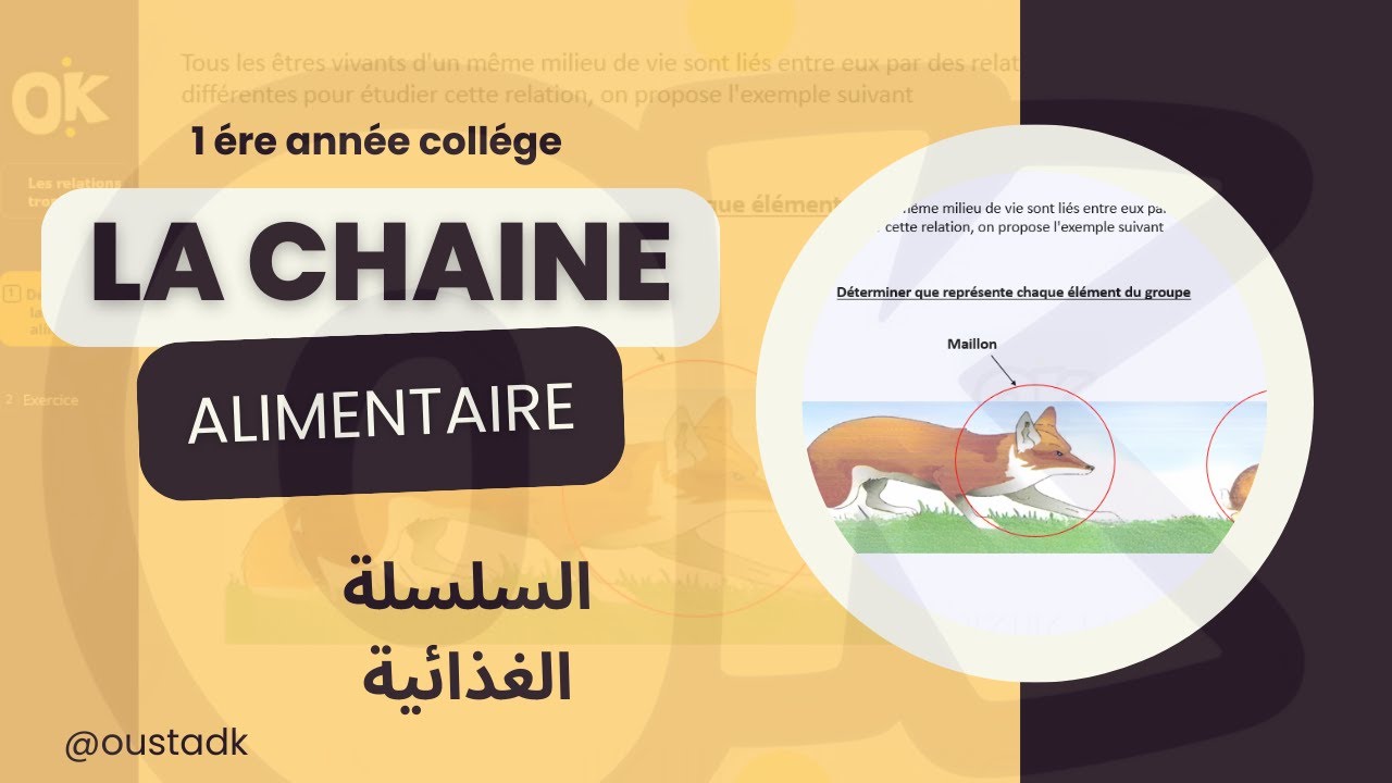 1AC | La chaine alimentaire