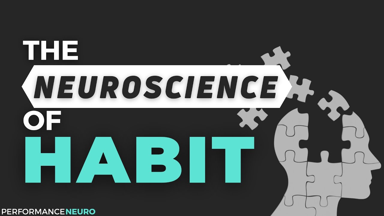 The Neuroscience of Habit Change
