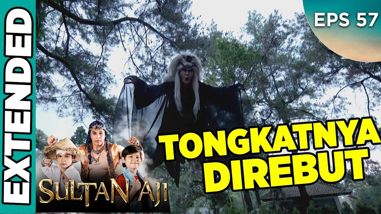Keberhasilan Sultan Aji Merampas Tongkat Ninik Towok - Sultan Aji