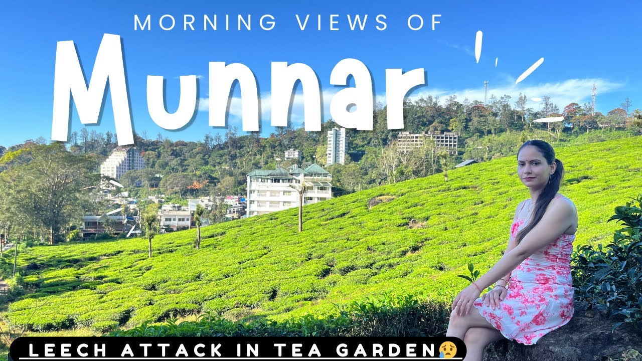 Munnar morning view & leech attack in tea gardens | Kerala travel vlog EP 03 | Himachal to kerala