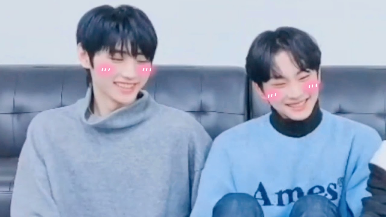 sungwon is the best duo (sunghoon/jungwon) enhypen