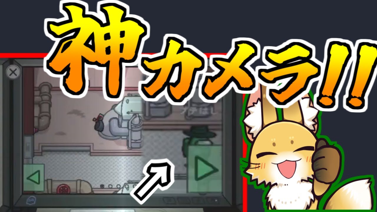 このカメラ情報が世界を救います！！【AmongUs】