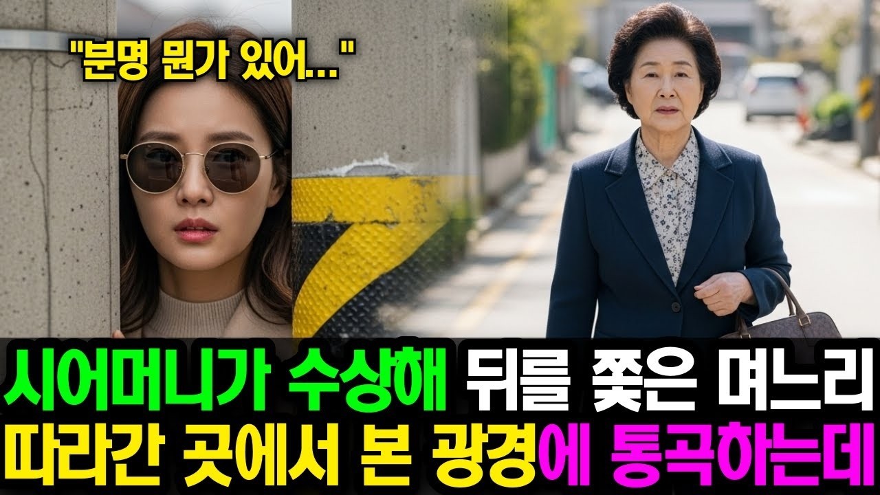 매일 같은 시간 외출하는 시어머니의 뒤를 쫓은 며느리, 따라간 곳에서 본 광경에 통곡하는데