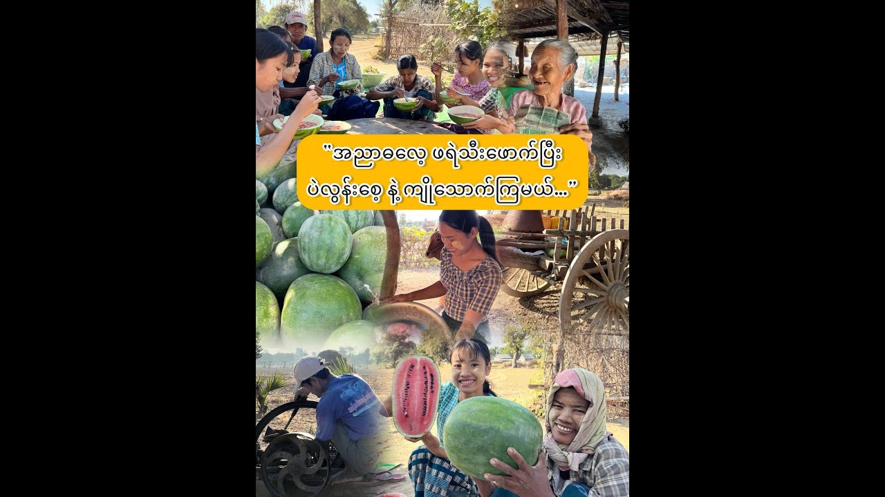 “အညာဓလေ့ ဖရဲအူနဲ့ပဲလွန်းစေ့ ကျိုသောက်မယ်..”