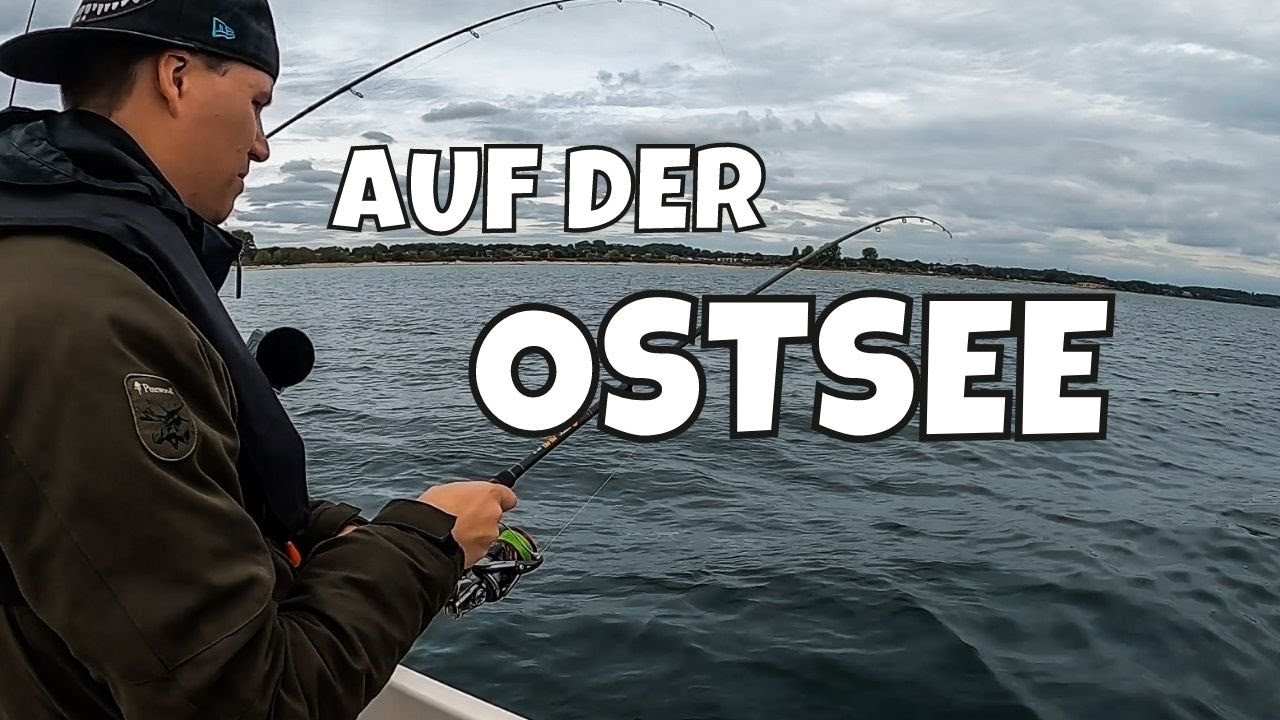 Drei NEUE Fischarten! Meeresfischen vom Boot | Scholle Kliesche Dorsch Hering | Ostsee | Vlog #99