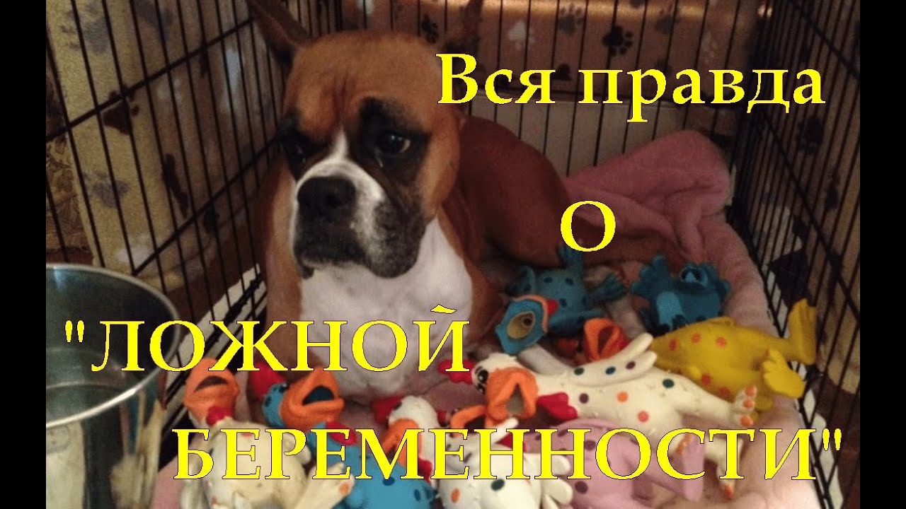 Вся правда о 