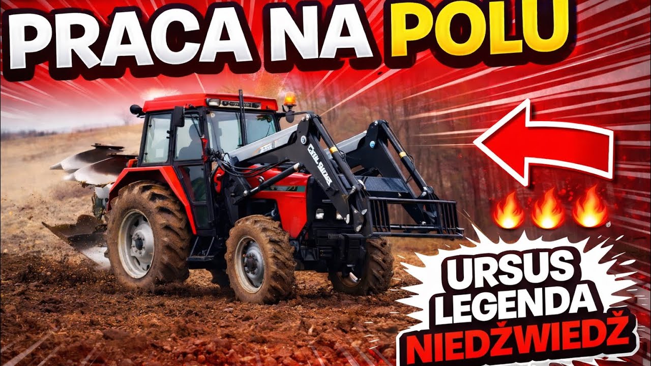URSUS 4514 to niedźwiedź legenda orka po kukurydzy pług obrotowy GASSNER C360
