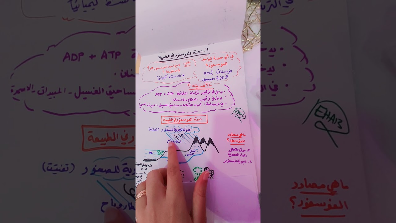 دورة الفوسفور في الطبيعة