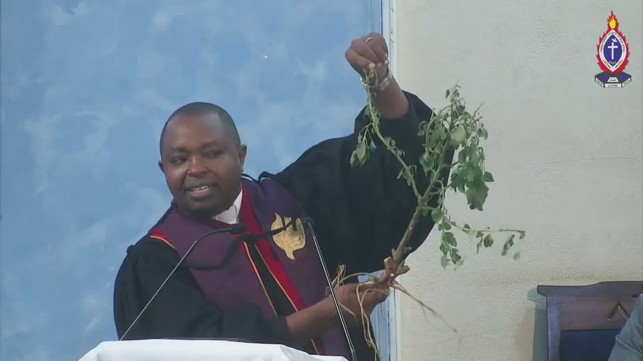 Mahubiri | Rev. David Chege | Mimi ndimi  Mzabibu Wa kweli - 15.06.2025