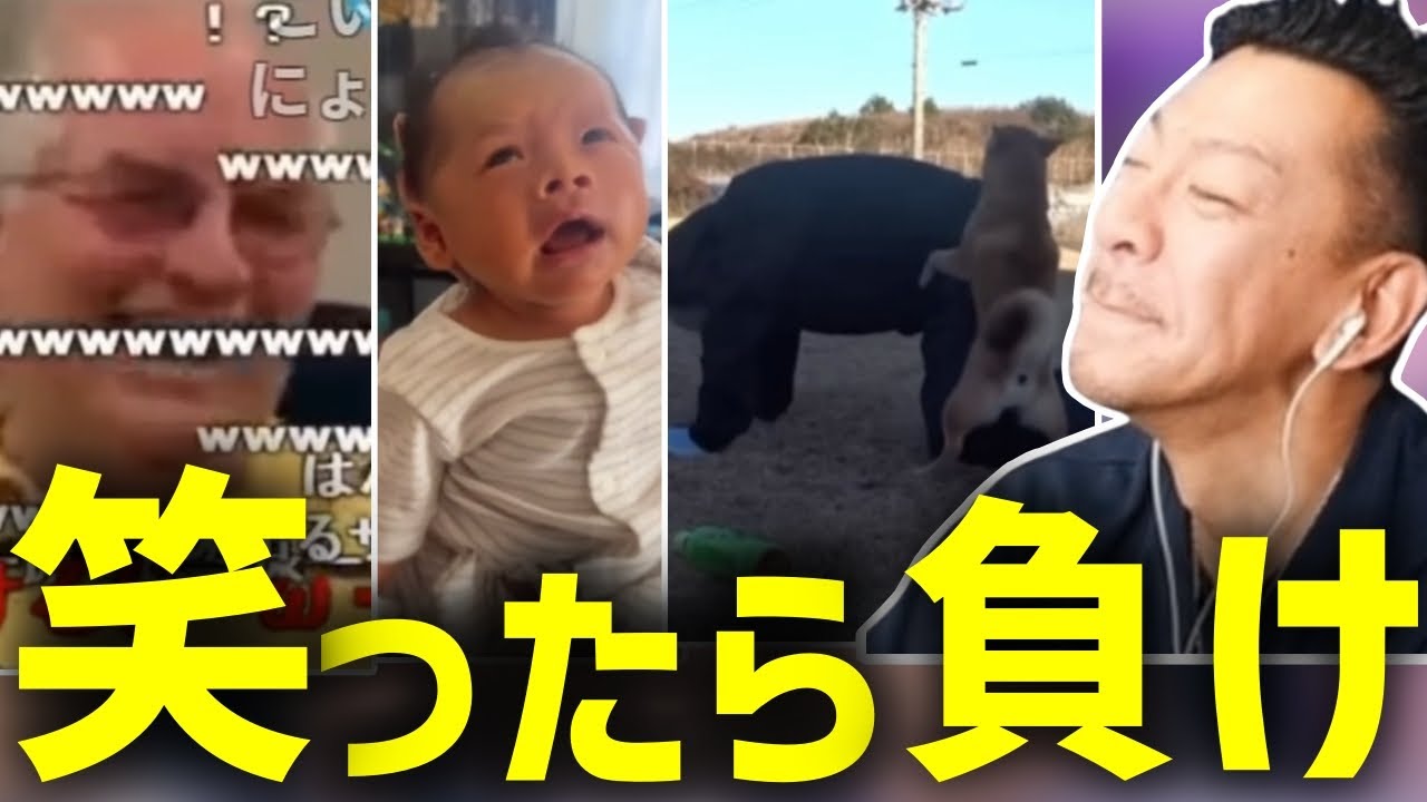 絶対笑ってはいけない男【2025/11/12】