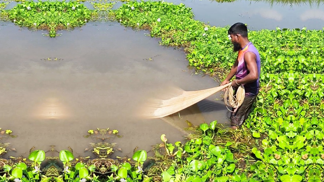 Most Popular Village Net Fishing - Amazing Net Fishing Skill - Fishing With Fisherman