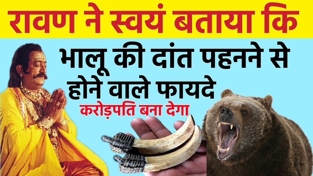 रावण ने बताया भालू के दांत पहनने के 10 गुप्त चमत्कार ? काश पहले पता होता ये जानकारी// ravan