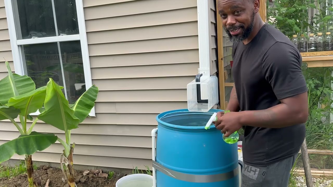 Getting Cabbage Moths Under Control