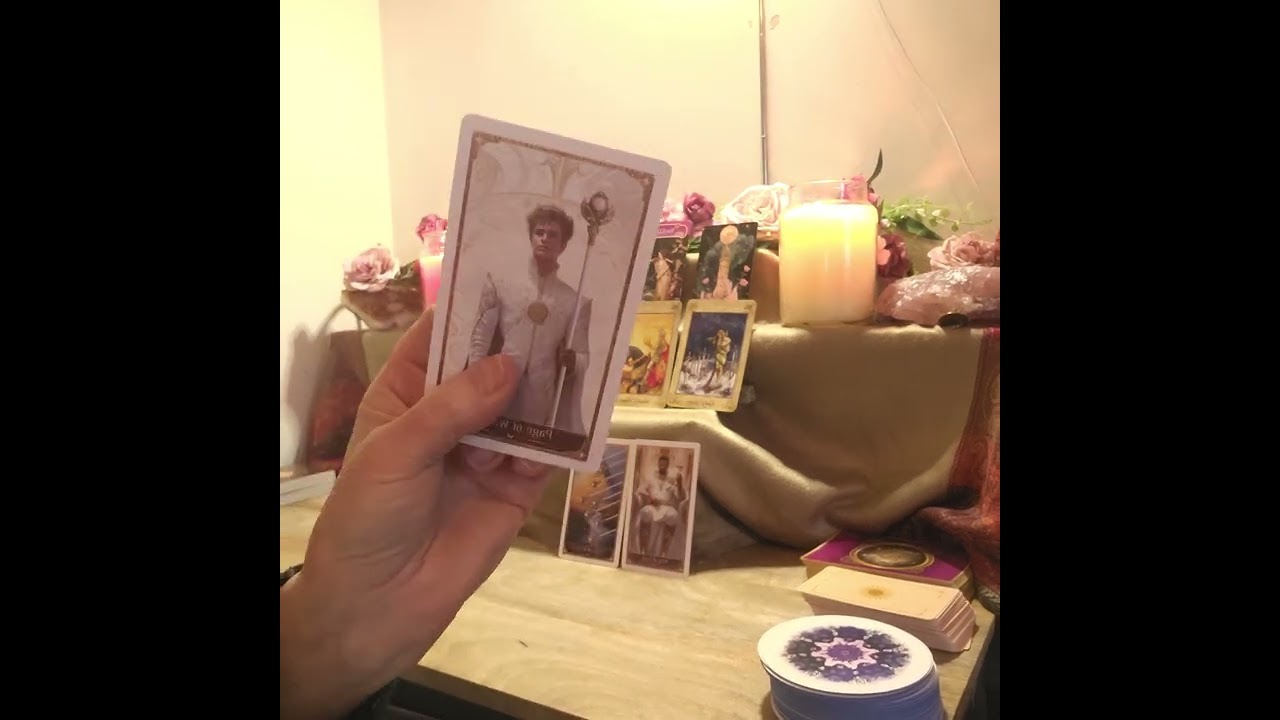 ✨️No Contact- reading for collective✨️