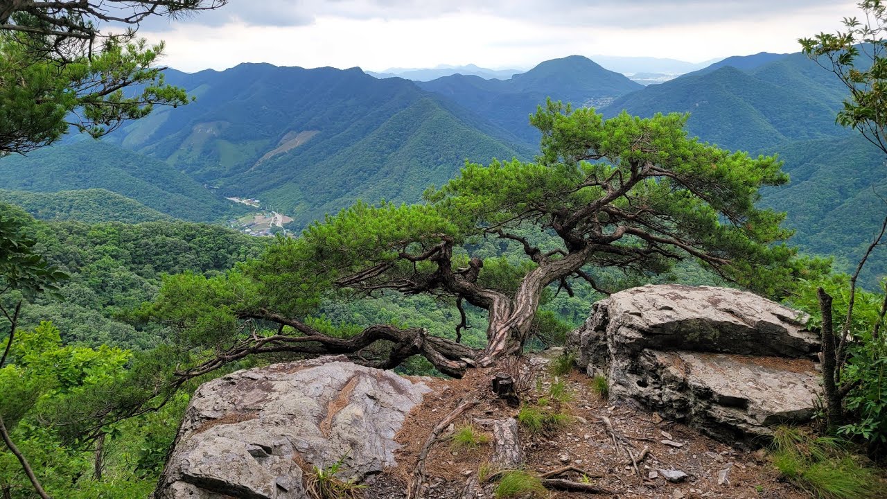 [대부산 貸付山] 명품 소나무 / 암릉 구간