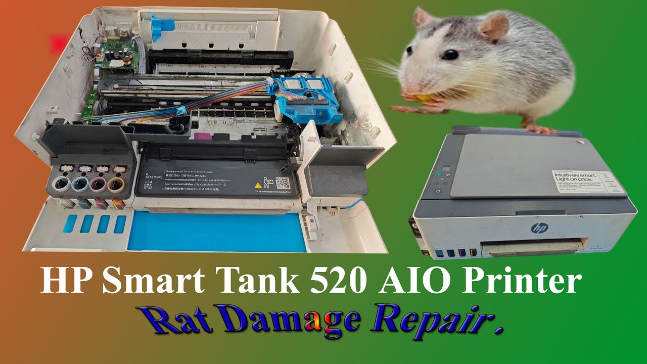 HP Smart Tank 520 AIO printer rat damage repair (Ink Pipe , tank Sensor Repair)