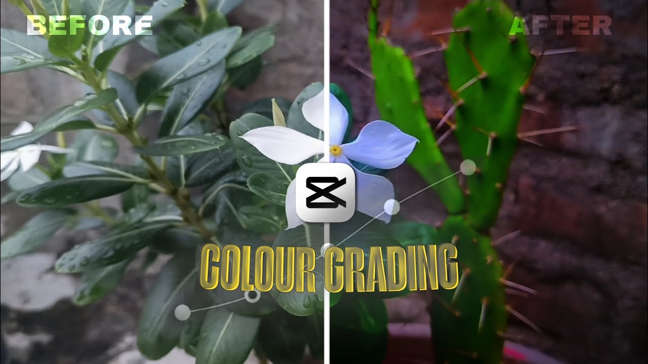 Master Colour grading in Capcut 🔥| Begginer to Advance Colour grading tutorial | 