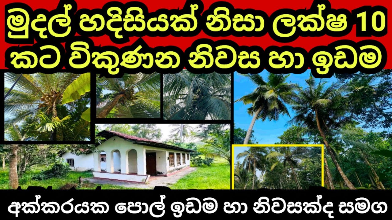 ලක්ෂ 10 කට සල්ලි හදිසියක් නිසා විකුණන නිවස හා ඉඩම | Coconut land | House for sale | Aduwata idam