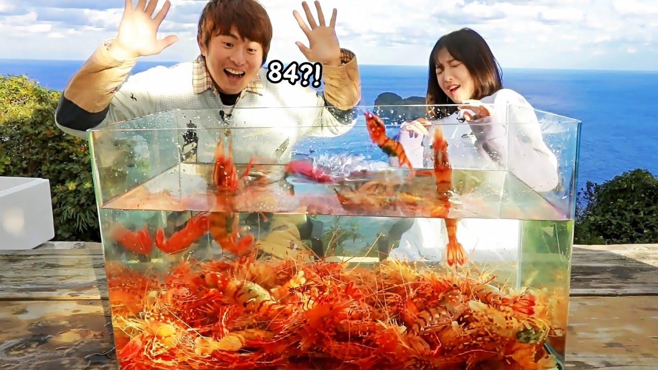울릉도7) 기안84님과 독도새우 84마리 먹방🤣 독도는 우리땅!!🇰🇷🇰🇷🇰🇷