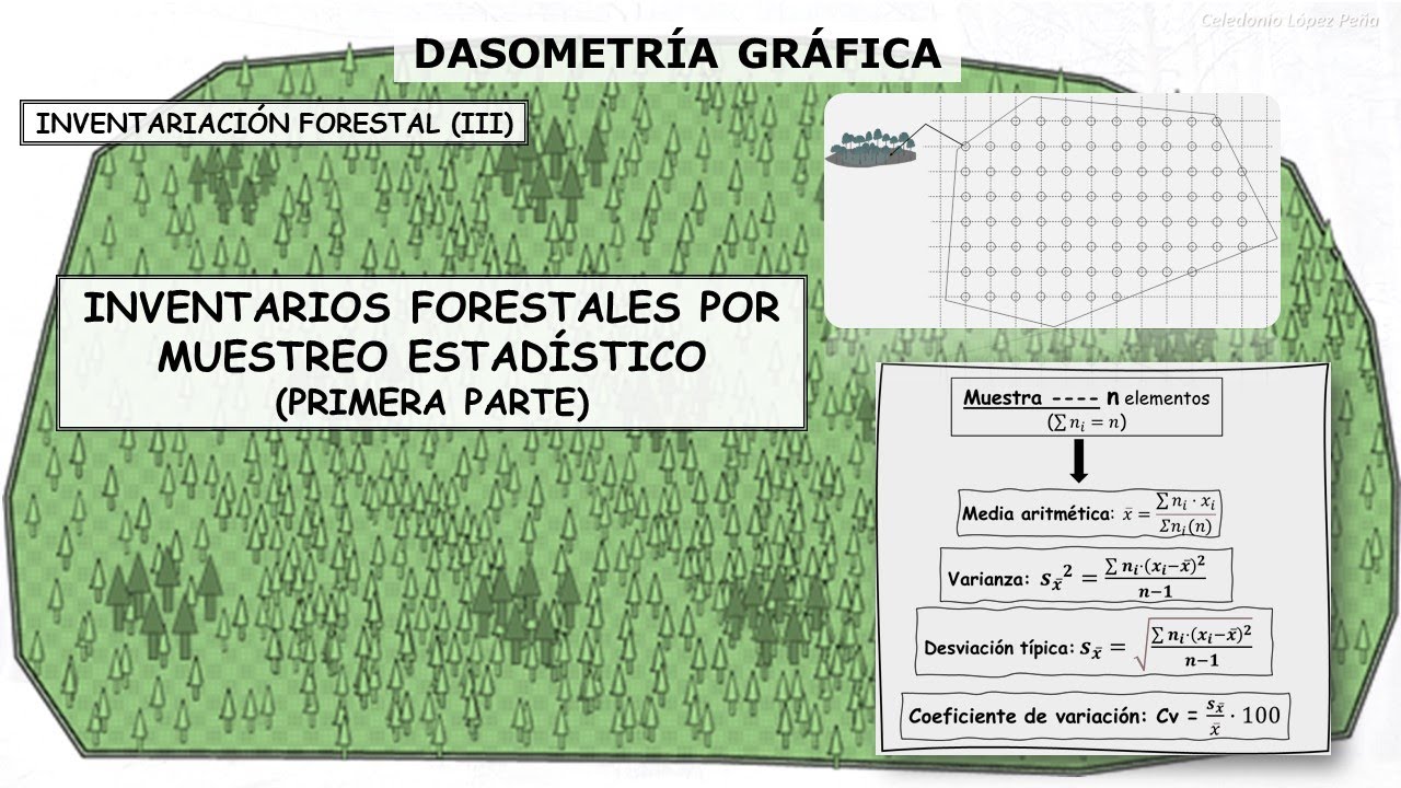 INVENTARIO FORESTAL POR MUESTREO (1ª PARTE-INTRODUCCIÓN)