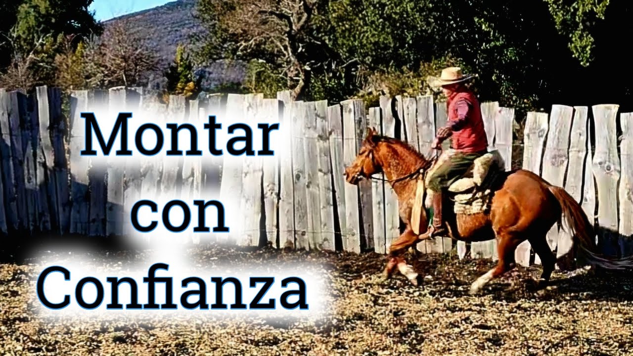 Amanse de Caballos paso a paso: Estrategias para una monta segura y exitosa.