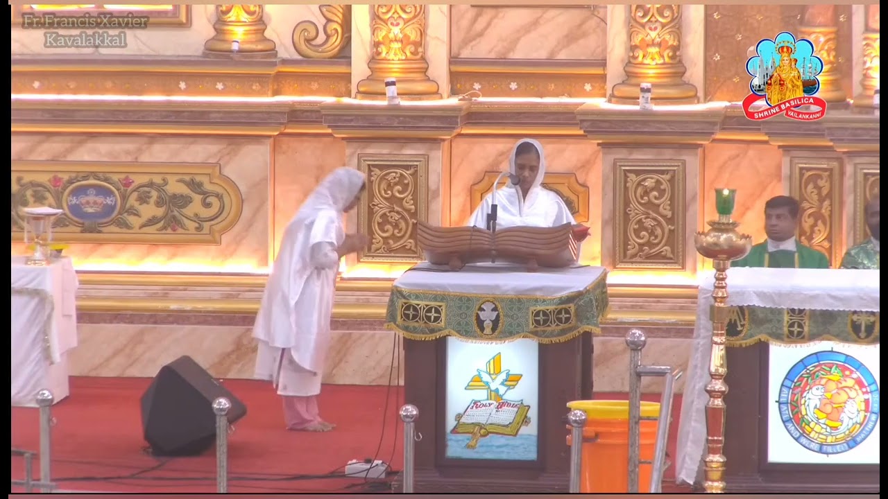 Francis Xavier Kavalakkal | 15/02/2026 | Malayalam Latin Mass | A 6th Sunday | Velankanni | fxk