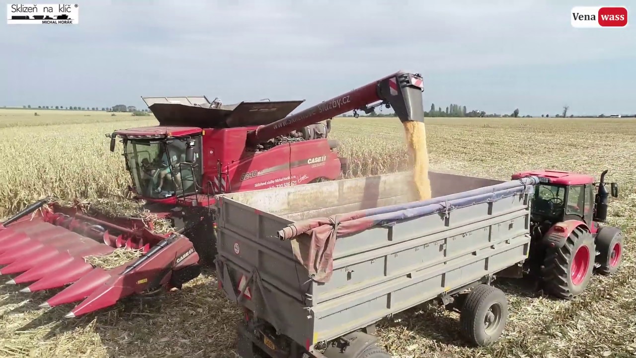 Case IH 8240 + 4408F  Sklizňové služby Horák CZ  corn harvest zrnovka