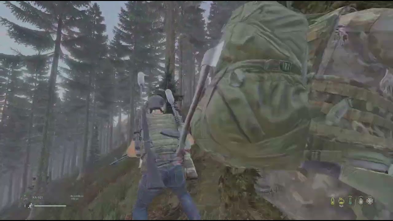 DayZ_20260212225211