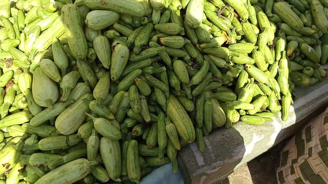 شاركت معاكم صوخرة ديالي اليوم قبلو علية