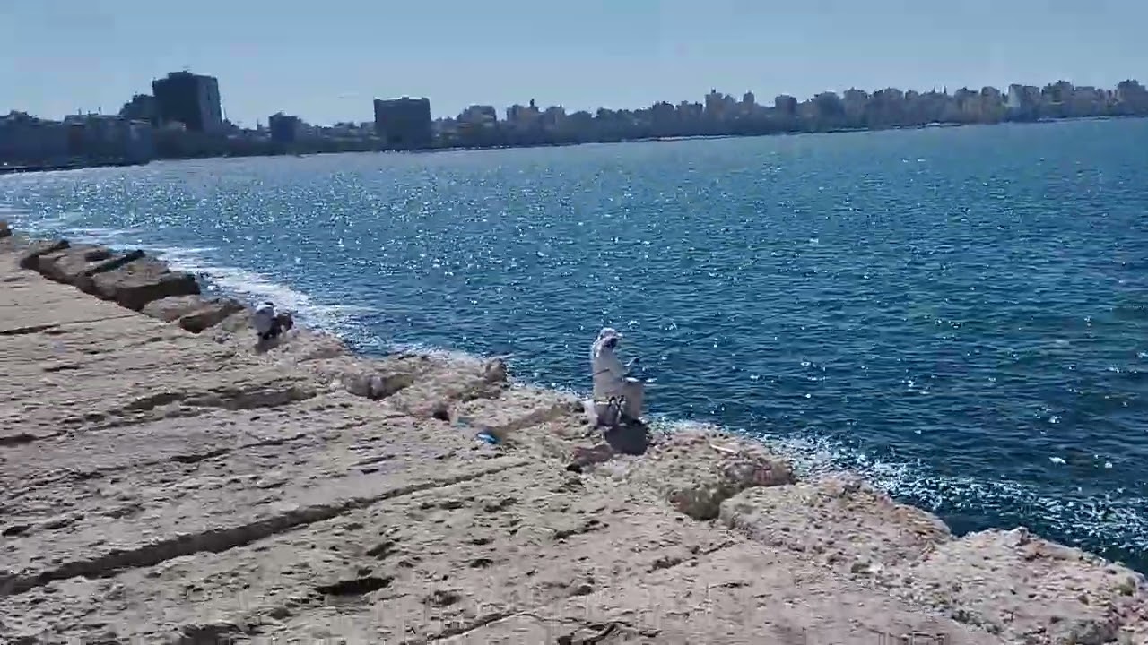 Mediterranean sea, Alexandria Egypt