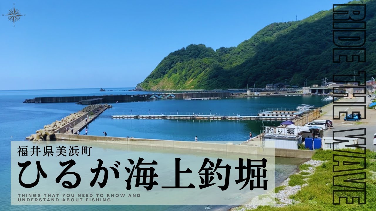 【ひるが海上釣堀】本当は教えたくない釣り旅行（福井県美浜町）