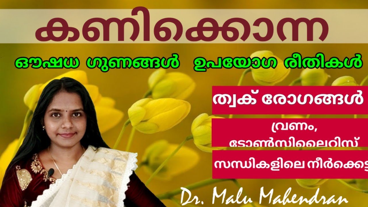 Kanikkonna | കണിക്കൊന്ന | Kanikkonna Medicinal Uses | കണിക്കൊന്ന ഔഷധ ഗുണങ്ങൾ | Golden Shower Tree