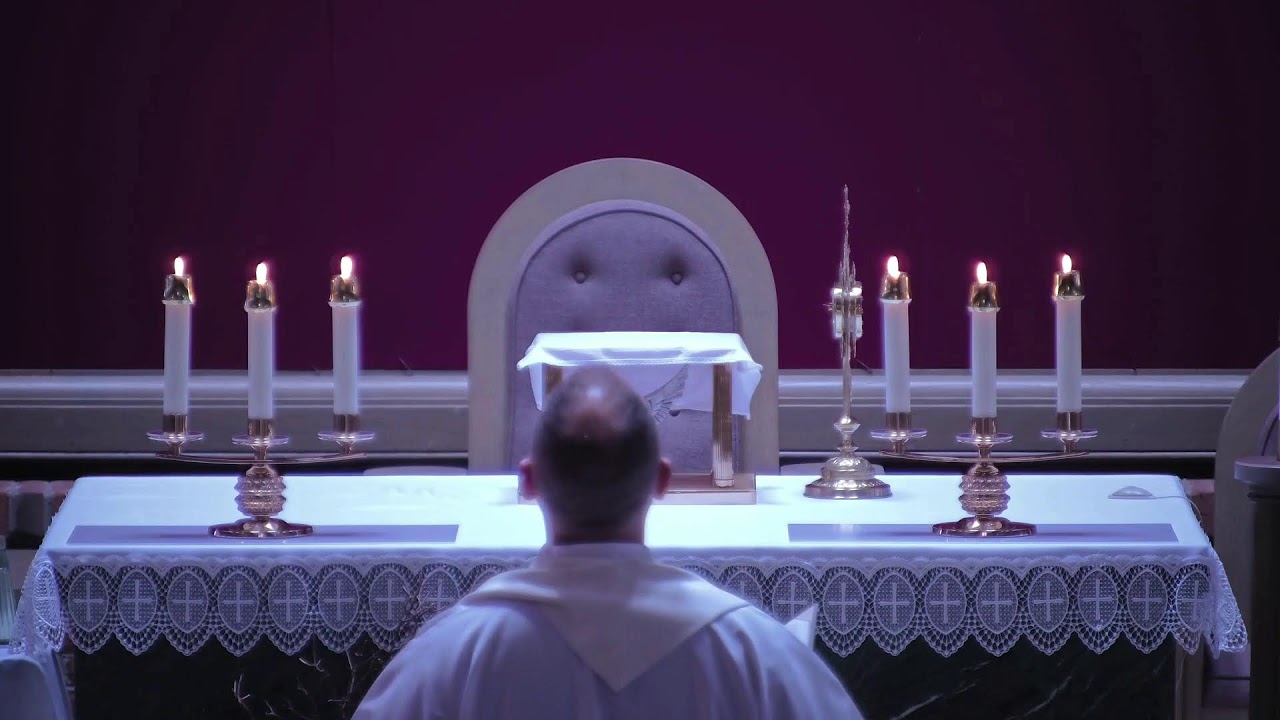 Corpus Christi Live