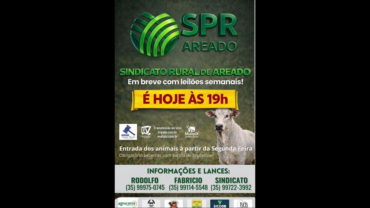 🎥 Leilão Presencial e Virtual Sindicato de Areado - multpix.com.br