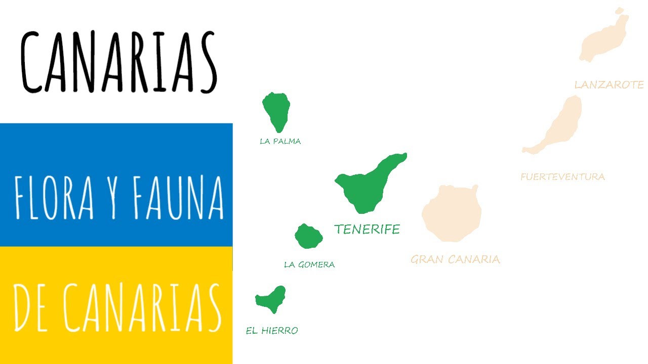 FLORA Y FAUNA CANARIA.