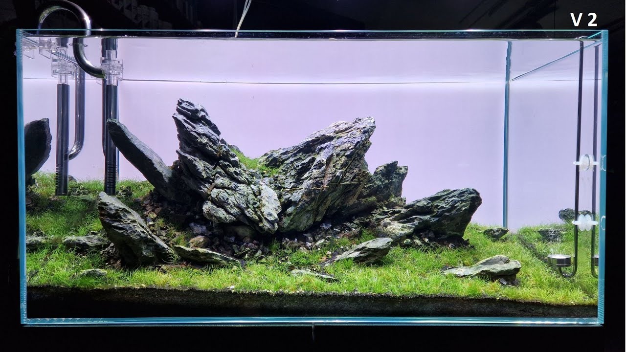 ⛩️Iwagumi w Oase ScaperLine 90 - Marcin Jurek - Salon Trzmiel