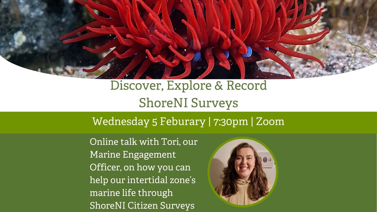 Discover, Explore & Record: Introduction to ShoreNI