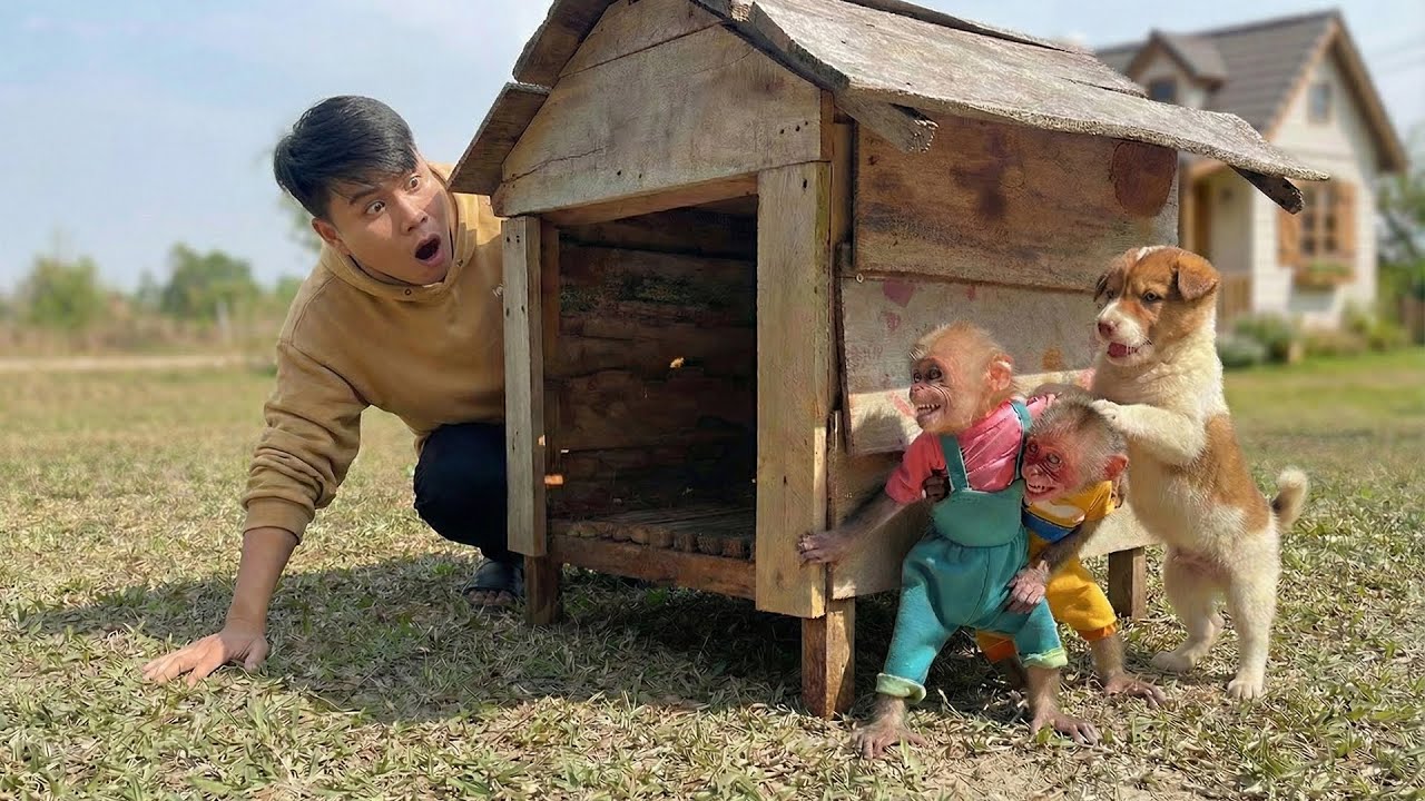 Moon and Bon Hide From Dad to Take a Puppy Out to Play